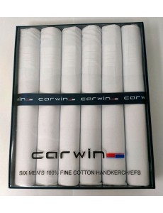 Caja pañuelos marca Carwin...