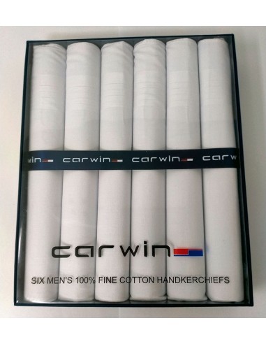Caja pañuelos marca Carwin modelo Blanco