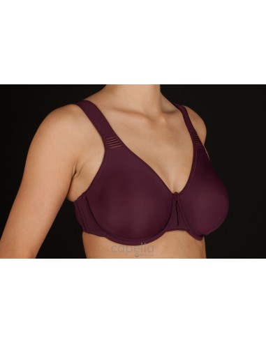 Sujetador de microfibra con aros...