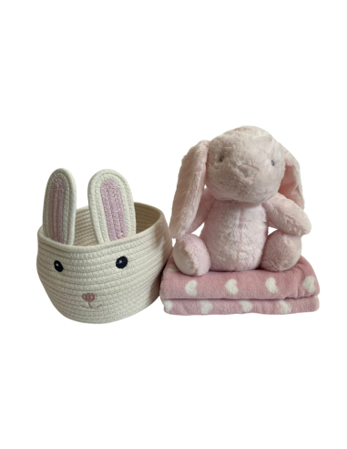 Set de cesta con peluche y manta para...