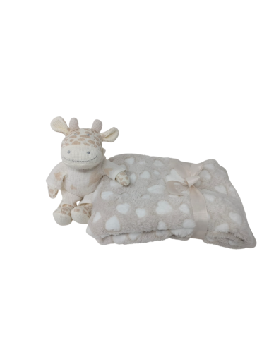 Set de peluche de crochet con ropita...