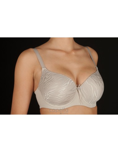 Sujetador con aros y relleno marca...