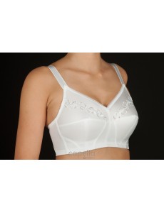 Sujetador clásico de medio...