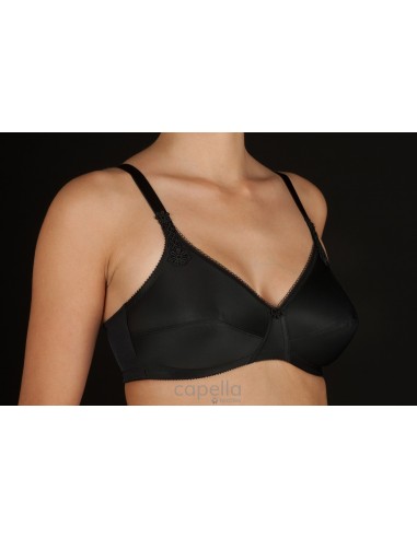 Sujetador clásico sin aros marca...