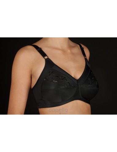 Sujetador clásico sin aros marca...
